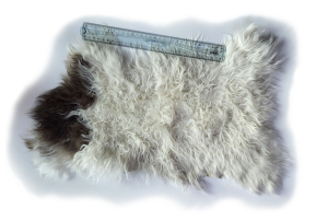 Natural Lambskin – White with Spot